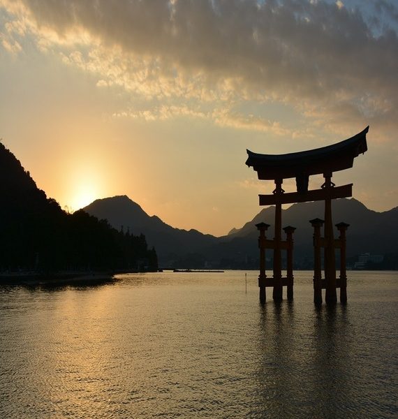 Japon tour